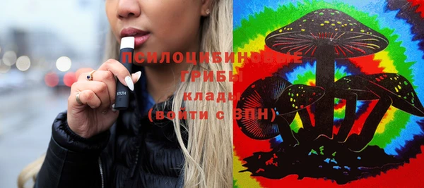 ГАЛЛЮЦИНОГЕННЫЕ ГРИБЫ Абаза