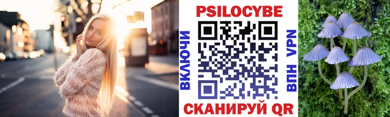 даркнет сайт Пудож Псилоцибиновые грибы прущие грибы